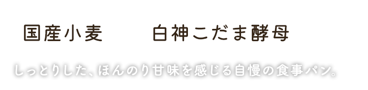 国産小麦×白神こだま酵母 しっとりした、ほんのり甘味を感じる自慢の食事パン。 