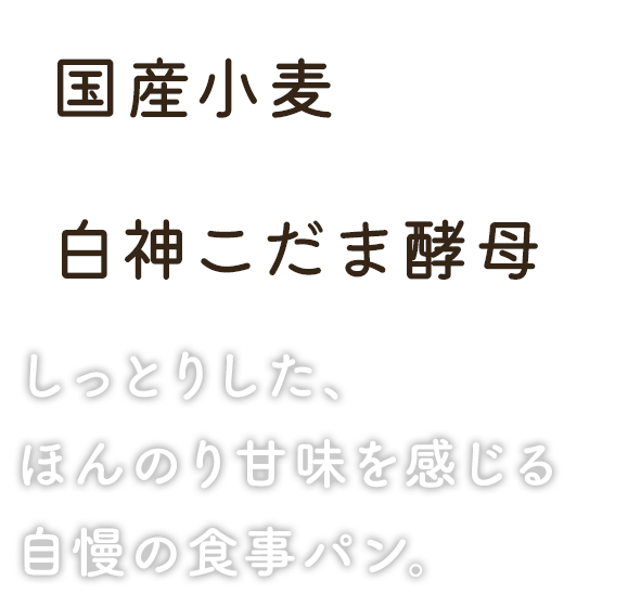 国産小麦×白神こだま酵母 しっとりした、ほんのり甘味を感じる自慢の食事パン。 